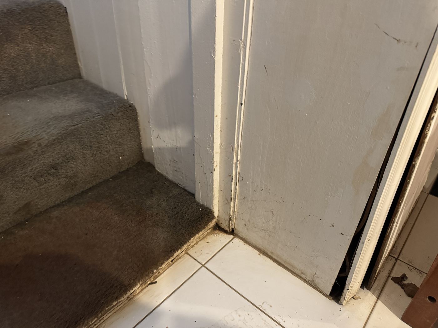 Stair carpet and casing at tile threshold